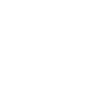 net art logo in white